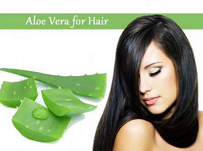 Benefits-Of-Aloe-Vera-For-Hair - Beauty and Blush