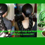 Ancient Ayurveda Secret to get Long and Healthy Hair in 1 Month with Curry Leaves: DIY