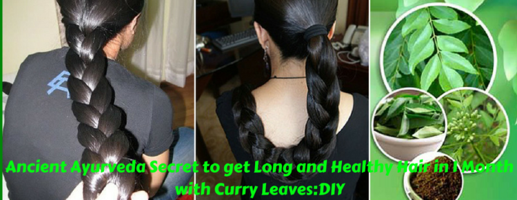 Ancient Ayurveda Secret to get Long and Healthy Hair in 1 Month with Curry  Leaves: DIY - Beauty and Blush