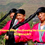 Ancient Chinese Secret for Growing the Longest Hair in the World:DIY