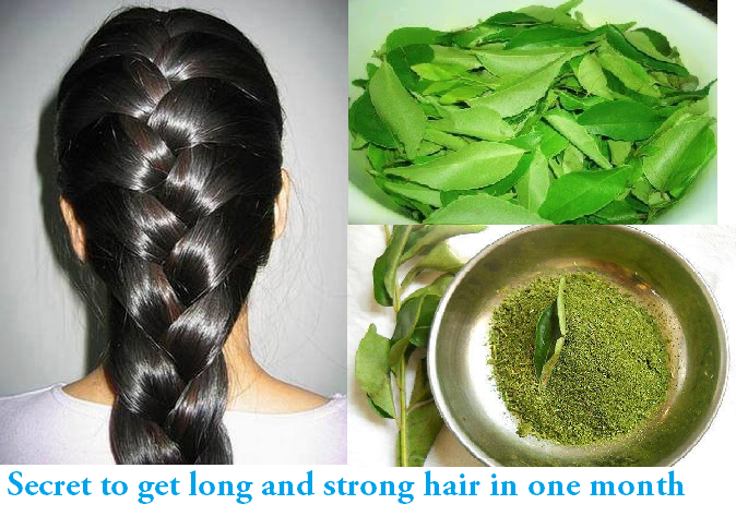 benefits-of-curry-leaves-for-hair-growth - Beauty and Blush