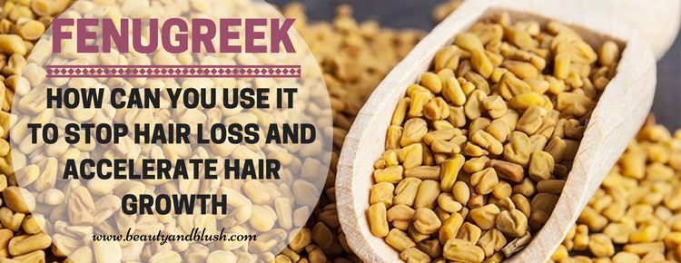 How to Use Fenugreek for Hair Loss, Hair Thinning and Hair Re-Growth -  Beauty and Blush
