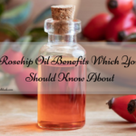 Rosehip Oil Benefits Which You Should Know About