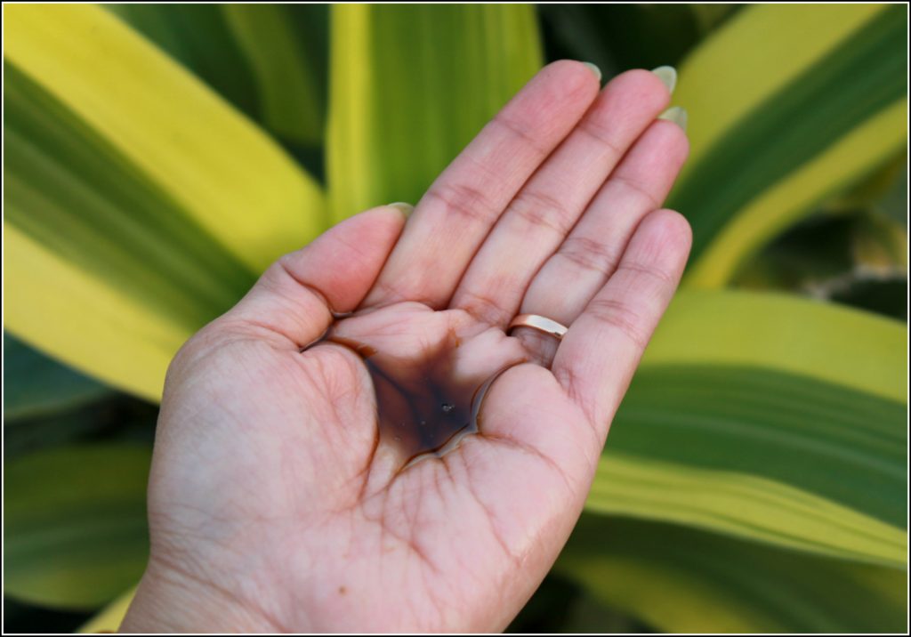 Nature Sure Kalonji Oil-Black Seed Oil Review