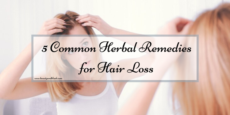 5 Common Herbal Remedies for Hair Loss - Beauty and Blush 5 Common Herbal Remedies for Hair Loss - Beauty and Blush