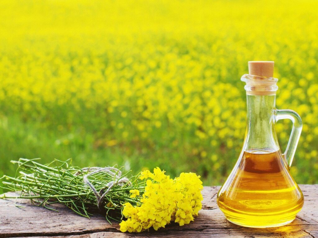 Indian Hair Care Secret: The Magic Ingredient Mustard Oil