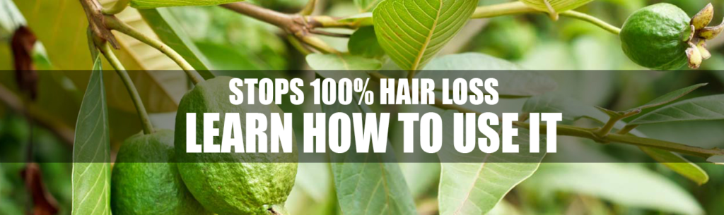 How to Use Guava Leaves to Stop Hair Fall