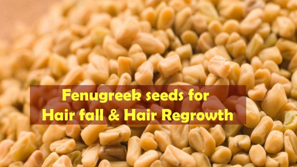 How to Use Fenugreek for Hair Loss, Hair Thinning and Hair Re-Growth