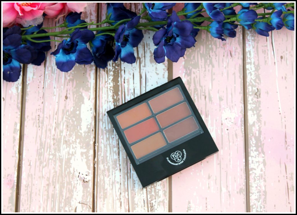 PAC Matte Eyeshadow Palette Review