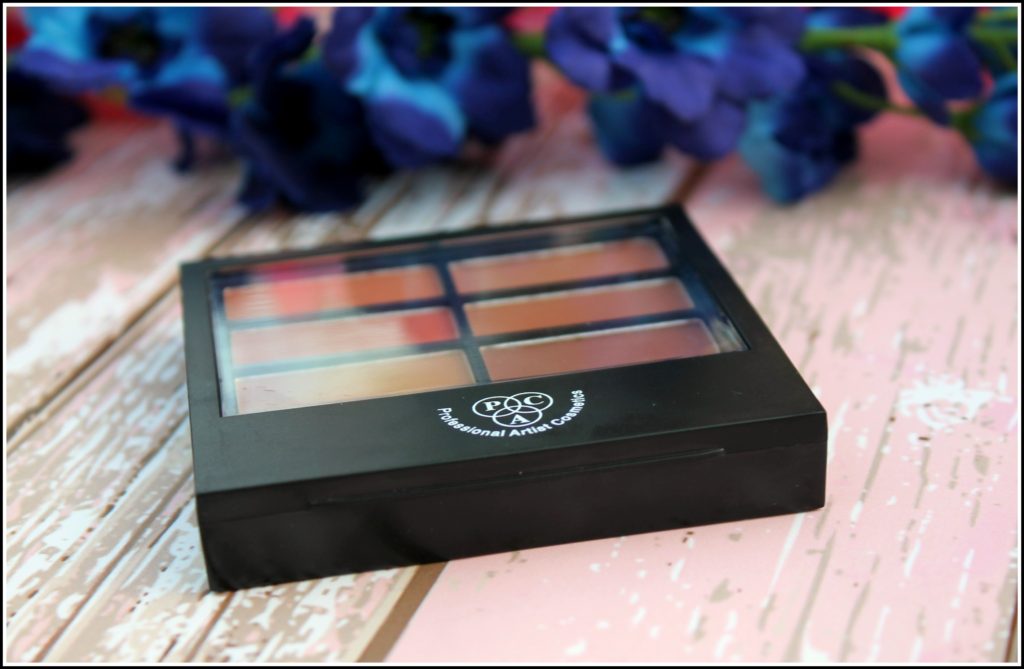 PAC Matte Eyeshadow Palette Review