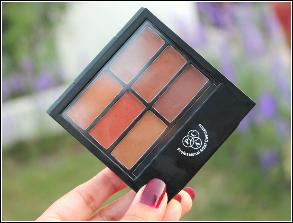 PAC Matte Eyeshadow Palette Review