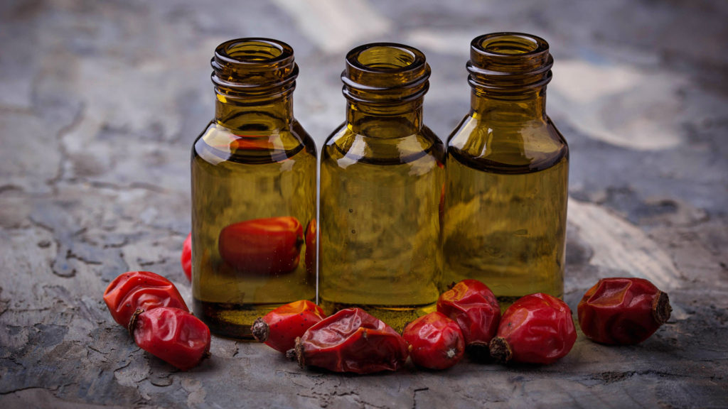 Rosehip Oil Benefits Which You Should Know About