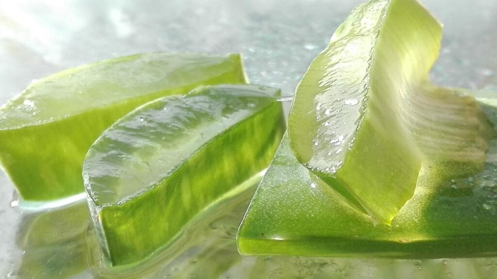 3 Aloe Vera Hair Masks for Double Hair Growth: Indian Hair Care Secret