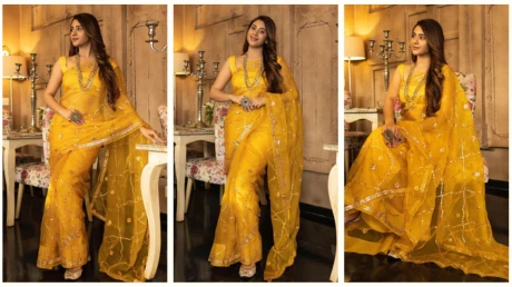 Tips to Style Your Organza Sarees in Versatile Ways